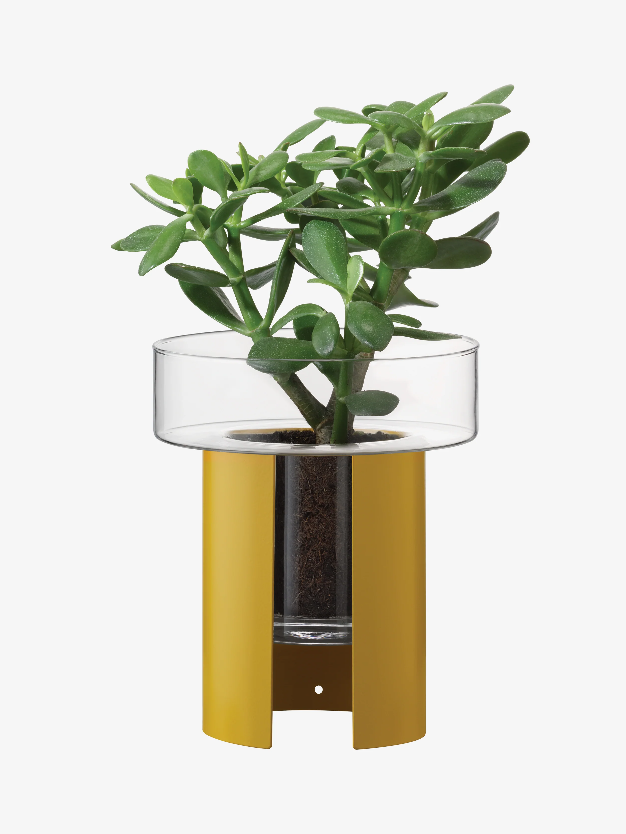 Planter - Image 23